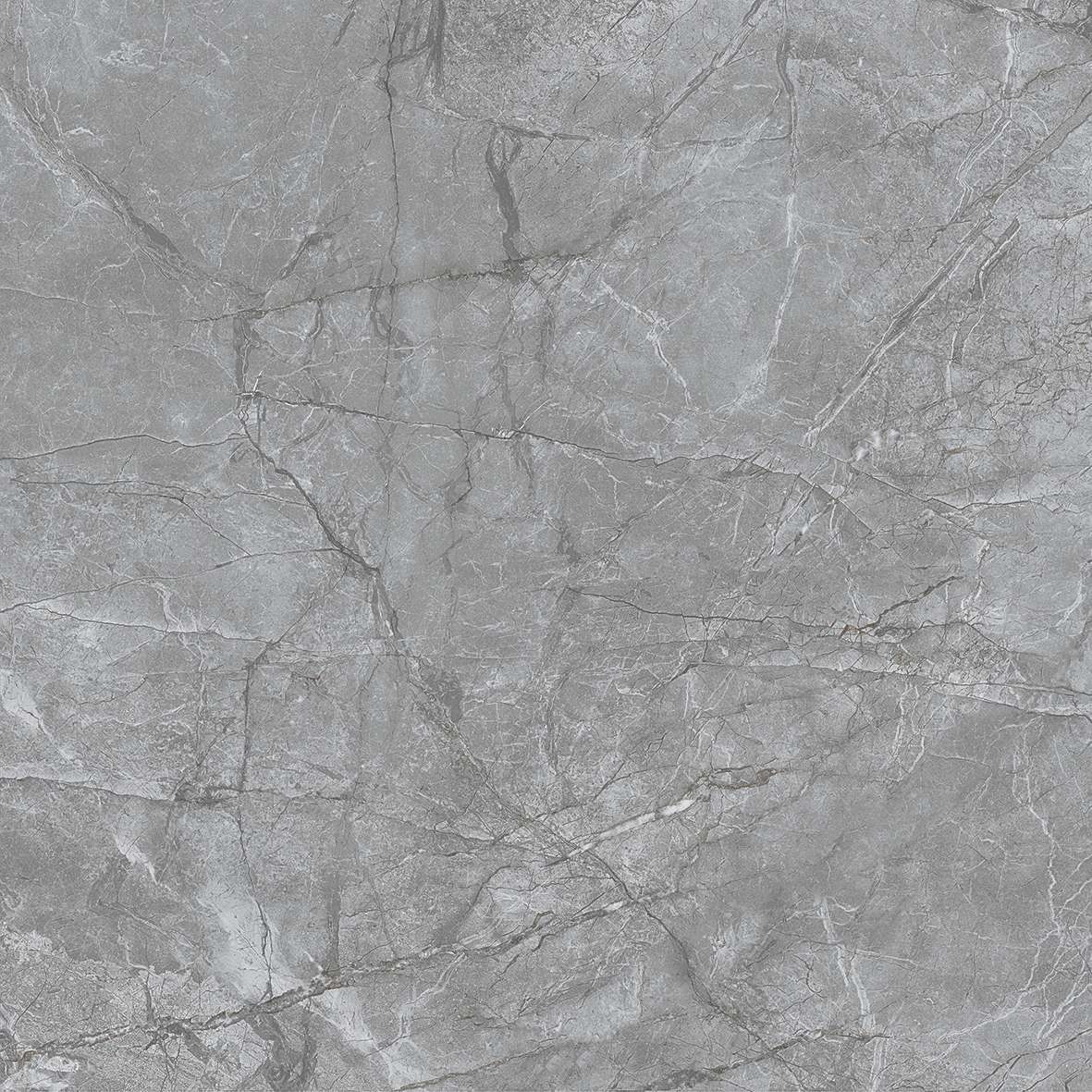 FL7 GP6602/ FL7 GP8802 - Ảnh 4