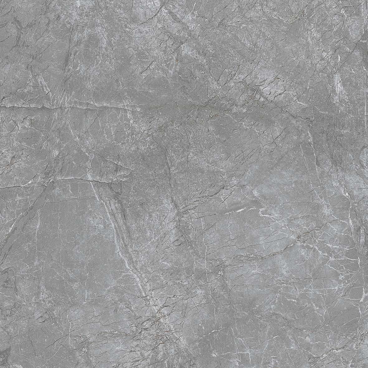 FL7 GP6602/ FL7 GP8802 - Ảnh 5