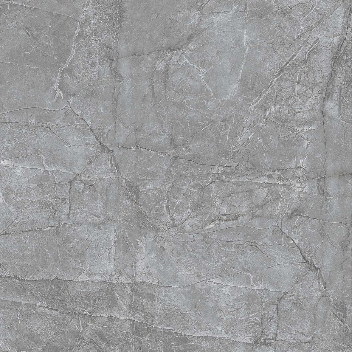 FL7 GP6602/ FL7 GP8802 - Ảnh 6