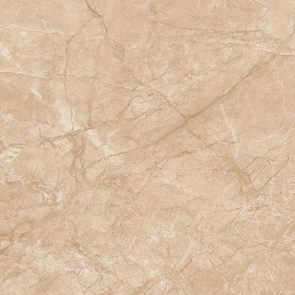 FL7 GP6604/ FL7 GP8804 - Ảnh 2