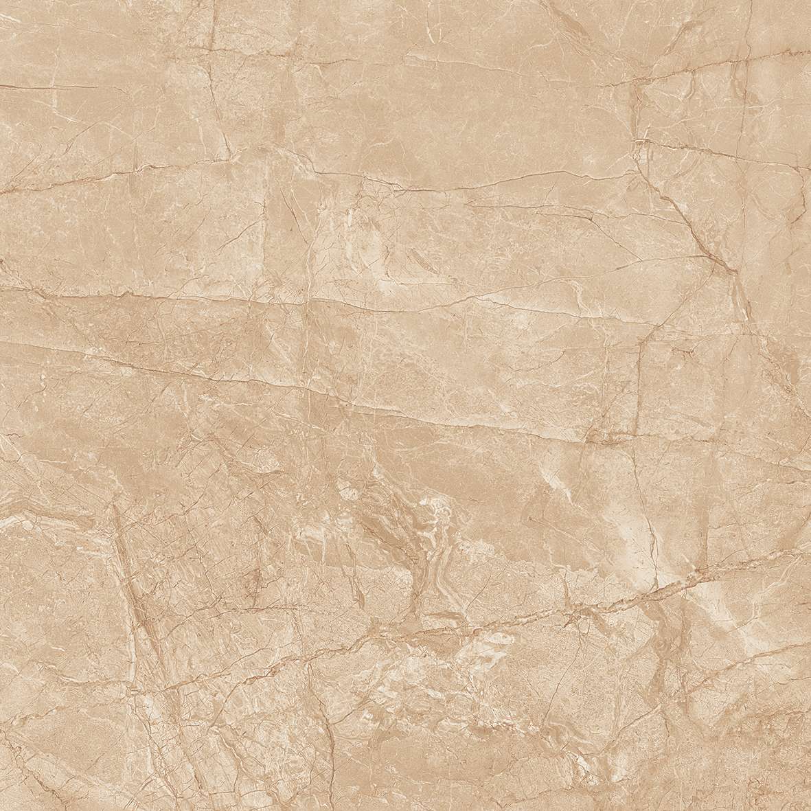 FL7 GP6604/ FL7 GP8804 - Ảnh 3