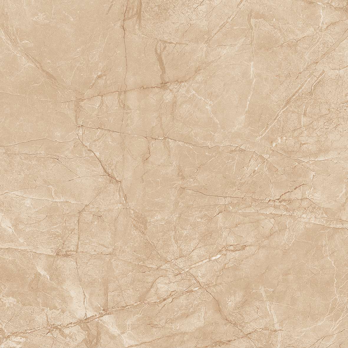 FL7 GP6604/ FL7 GP8804 - Ảnh 4