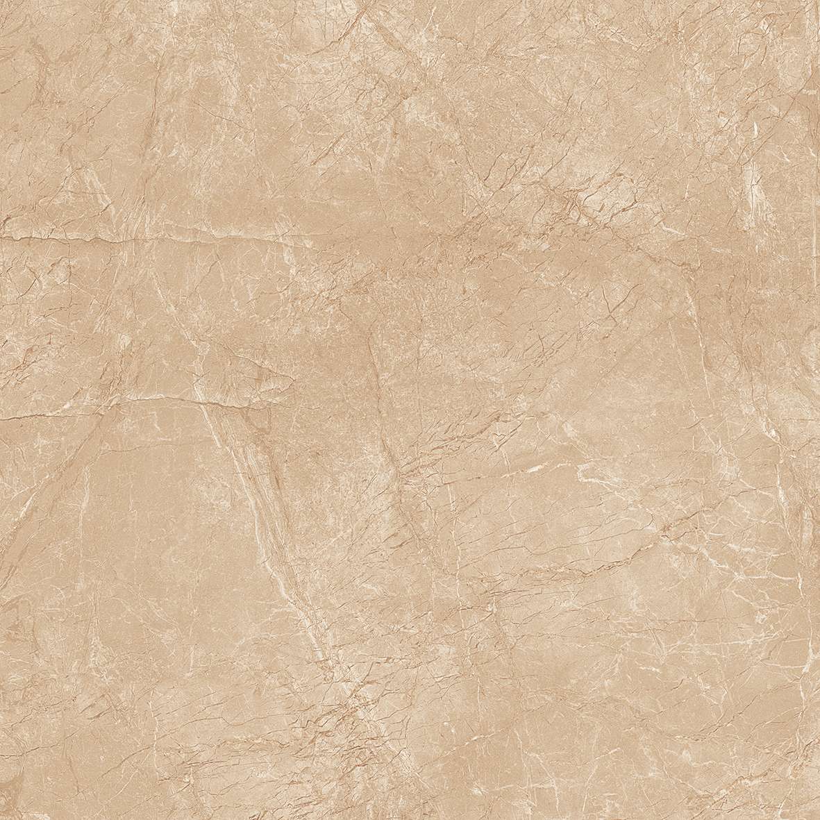 FL7 GP6604/ FL7 GP8804 - Ảnh 5