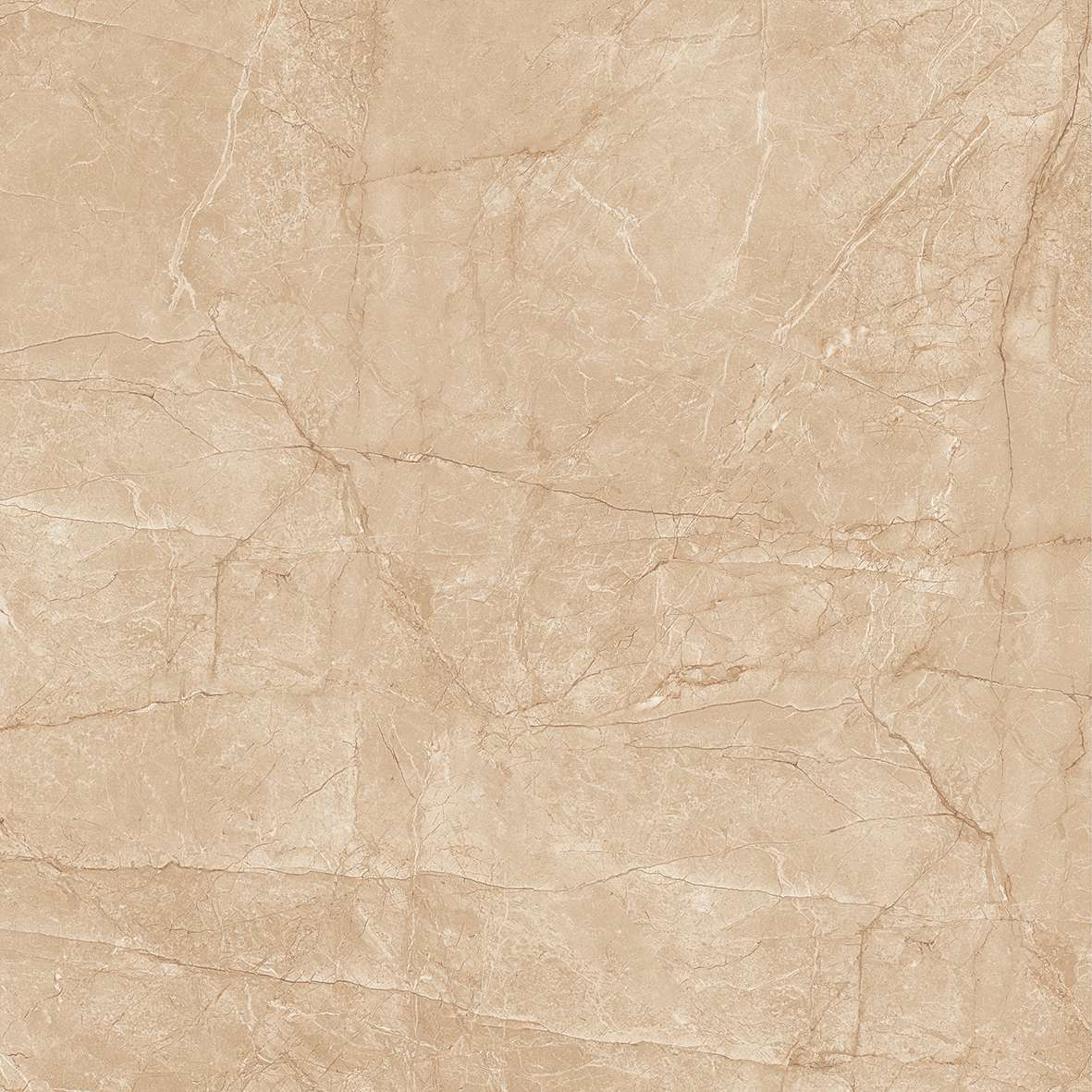 FL7 GP6604/ FL7 GP8804 - Ảnh 6