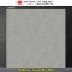 Gạch 60x60 Taicera G68088 Vân Xám