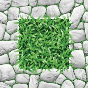 Gạch sân vườn 2596