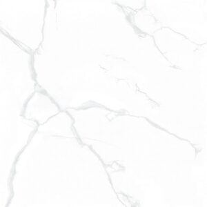 Gạch Taicera G88085