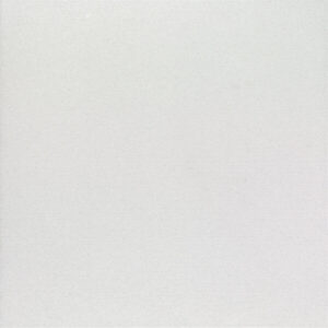 Gạch Taicera G98T15