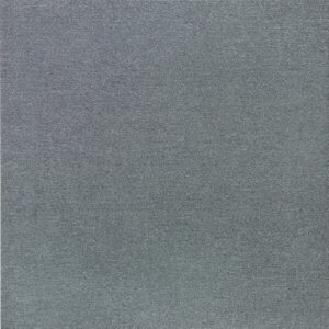 Gạch Taicera G98T18