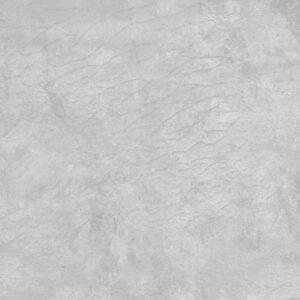 Gạch Taicera G88L07J