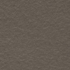 Gạch Taicera G38521