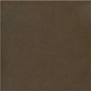 Gạch Taicera G68911