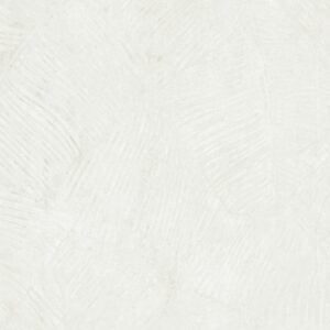 Gạch Taicera G88825J