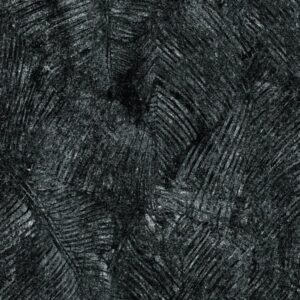 Gạch Taicera G88829J