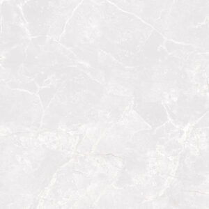 Gạch taicera G98032