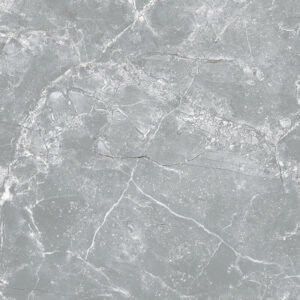 Gạch taicera g98038