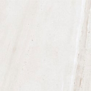 Gạch Taicera GP68065