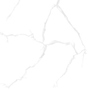 Gạch Taicera GP68085