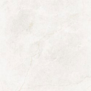 Gạch Taicera GP68845