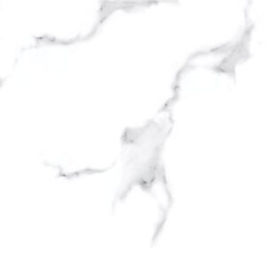 Gạch Taicera GP68945