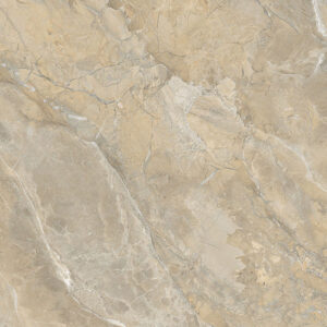 Gạch lát nền Viglacera SH-GP608