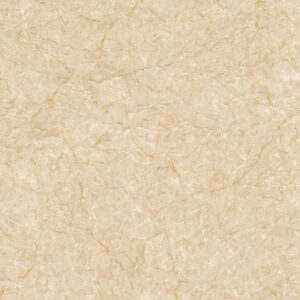 Gạch Viglacera SH-CE504