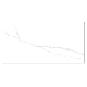 Gạch Viglacera SH-GP3609