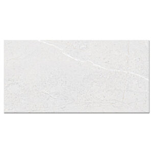 Gạch Viglacera SH-GP4805