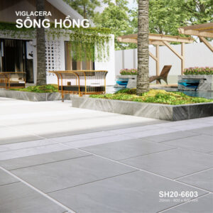 Gạch Viglacera SH20-6603
