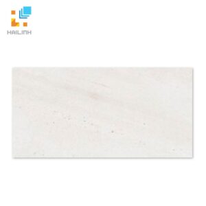 Gạch Taicera GP63065