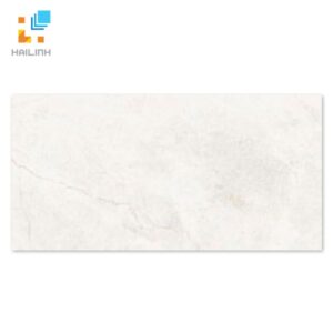 Gạch Taicera GP63845