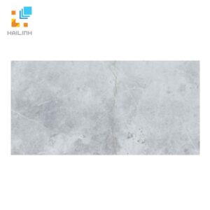 Gạch Taicera GP63848