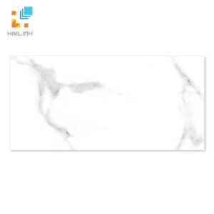 Gạch Taicera GP63945