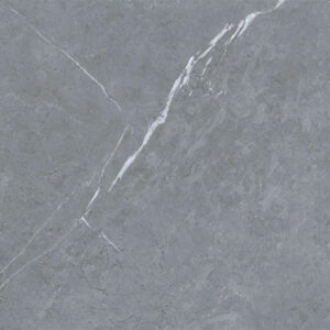 Gạch Taicera GP68238