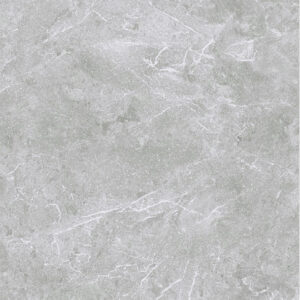 Gạch Taicera GP88258