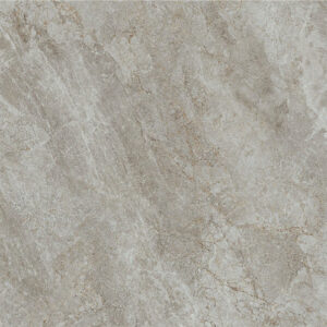 Gạch Taicera GP88267