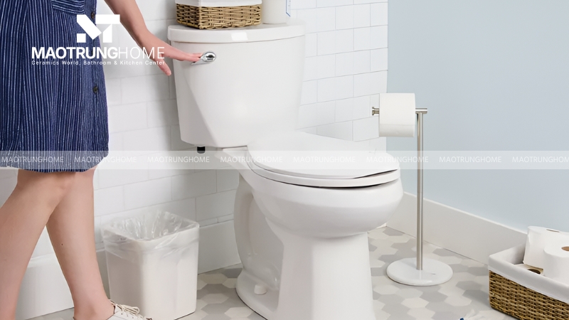 Tầm quan trọng của việc chọn đúng kích thước bồn cầu tiêu chuẩn