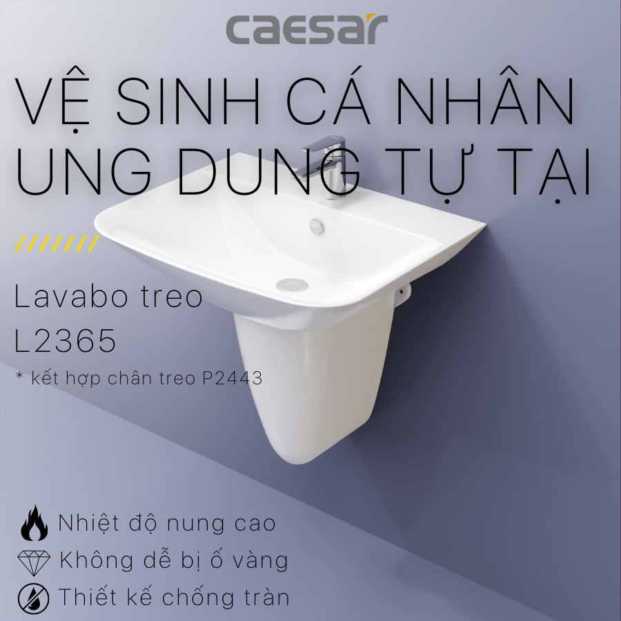 Lavabo treo L2365 - P2443 - Ảnh 2