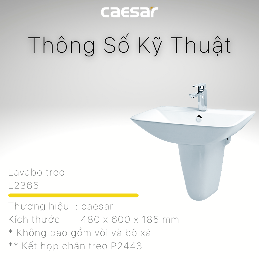 Lavabo treo L2365 - P2443 - Ảnh 10