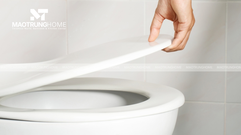 Chốt hoặc bản lề bị gãy, nứt