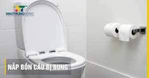 Nắp bồn cầu bị bung: Nguyên nhân, cách sửa và thay mới chi tiết