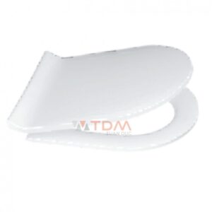 Nắp Êm Bàn Cầu CAESAR M245 (CPT1505)