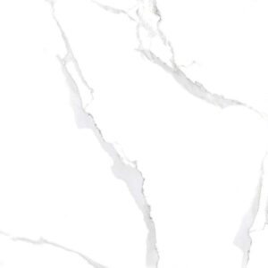 NY12 GP6601/NY GP8801