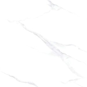 NY14 GP6601 / NY14 GP8801