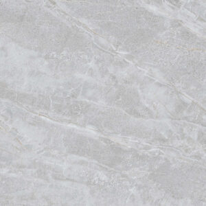 NY3 GP6601/ NY3 GP8801