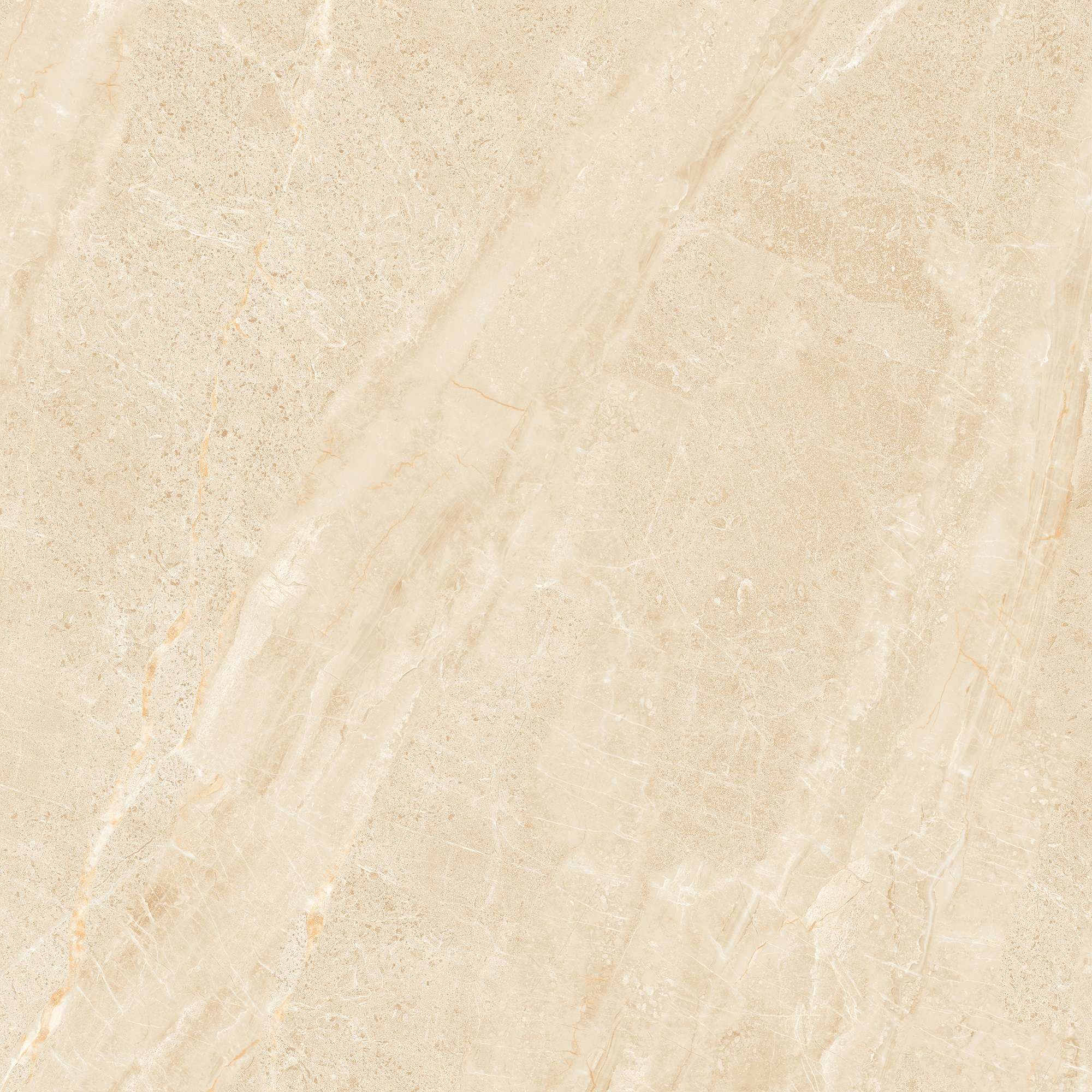 NY3 GP6604/ NY3 GP8804 - Ảnh 2