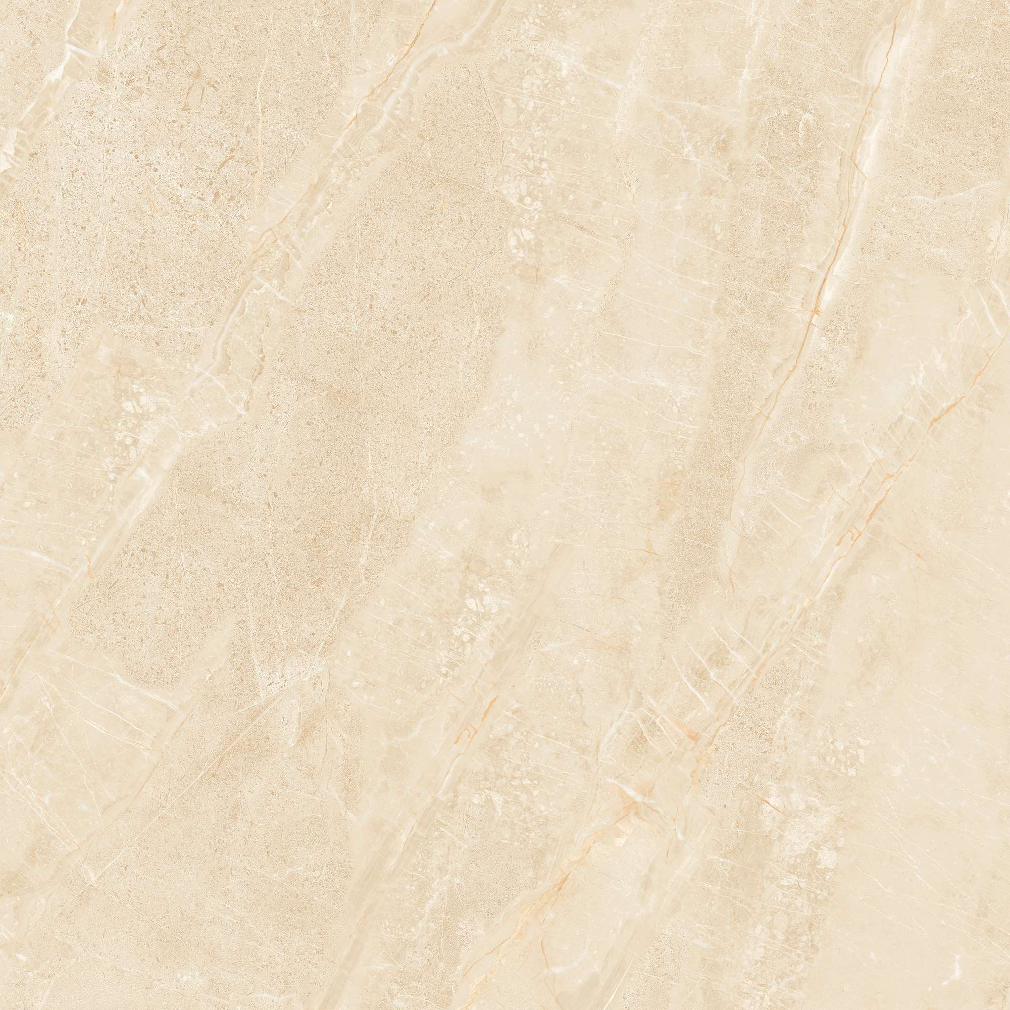 NY3 GP6604/ NY3 GP8804 - Ảnh 3