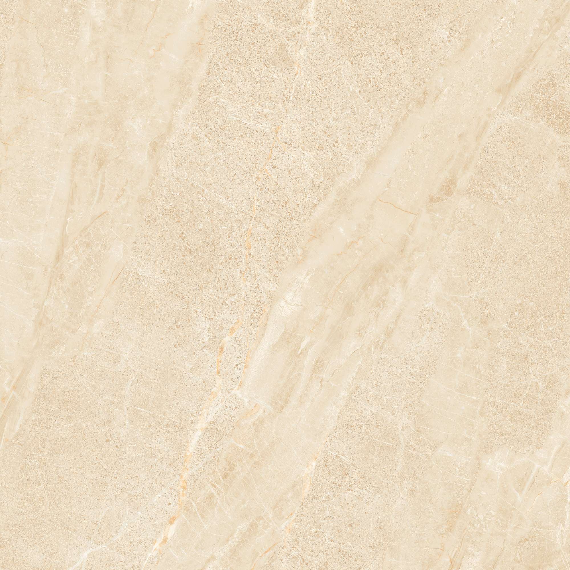 NY3 GP6604/ NY3 GP8804 - Ảnh 4