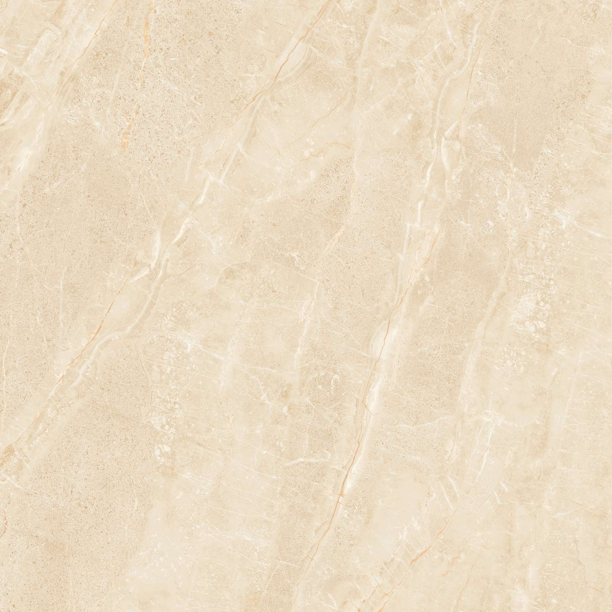 NY3 GP6604/ NY3 GP8804 - Ảnh 6