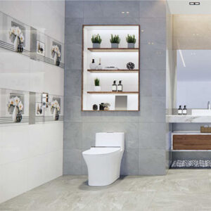 Gạch ốp lát Viglacera SH-GP3606